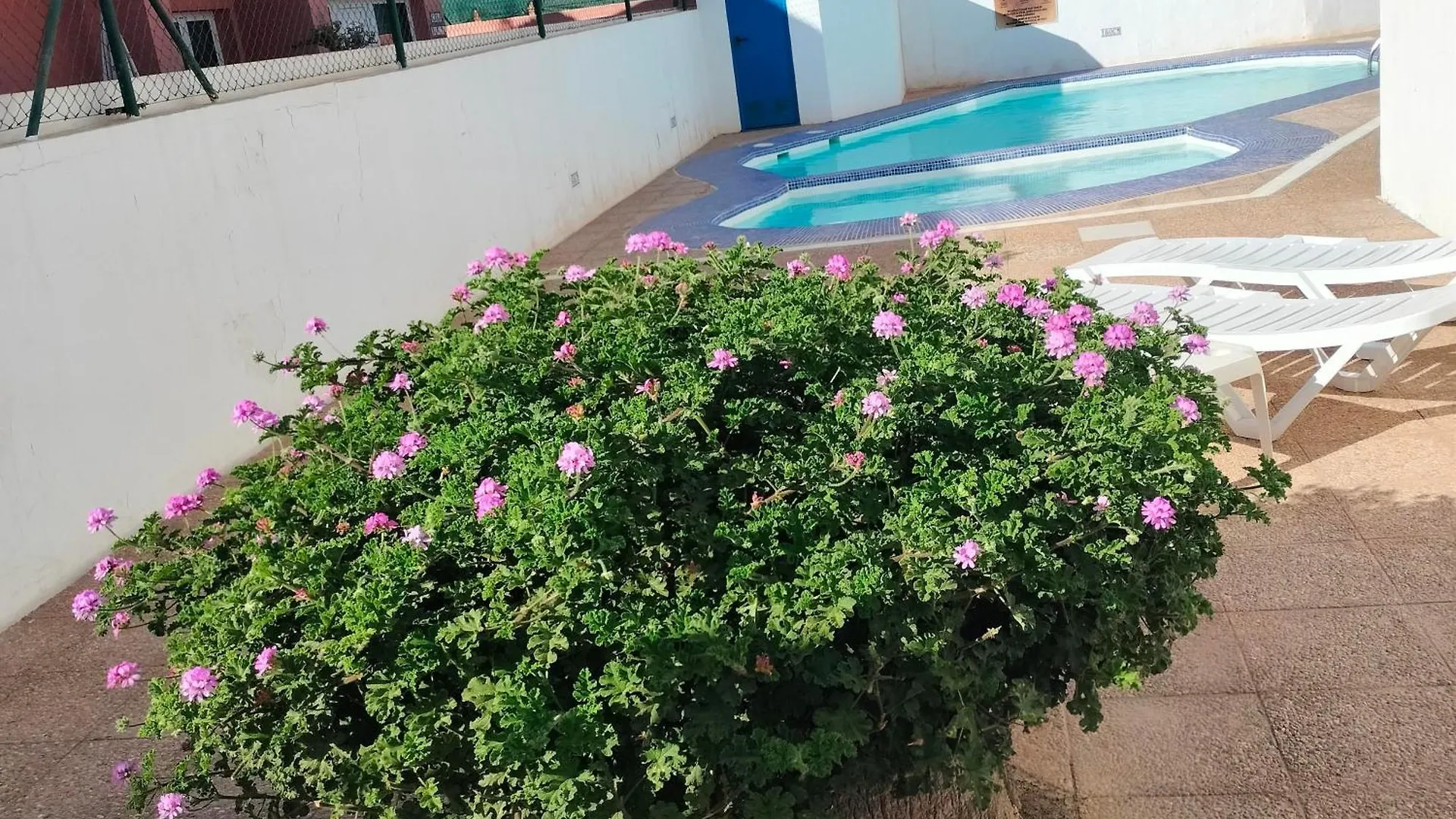 Vivienda Vacacional Alipatri Caleta De Fuste Lejlighed